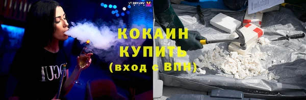 сатива Абинск