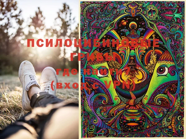 мет Рославль