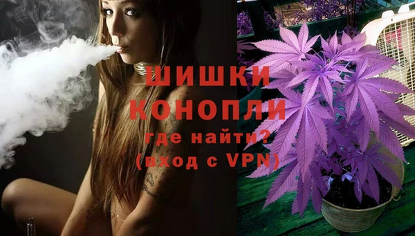 сатива Абинск