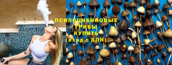 сатива Абинск